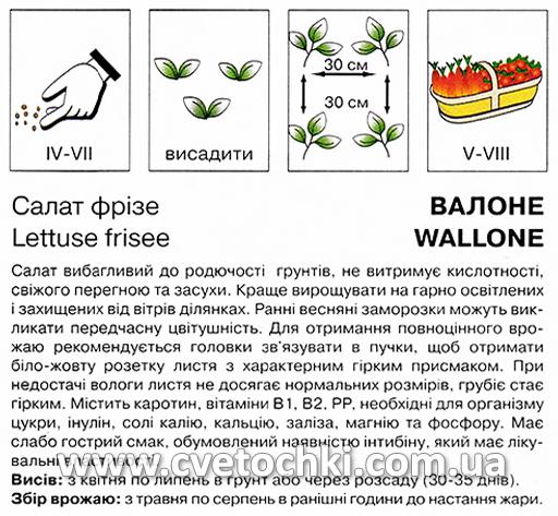Салат фрізе «Валоне» (1 г), ТМ «Коуел»