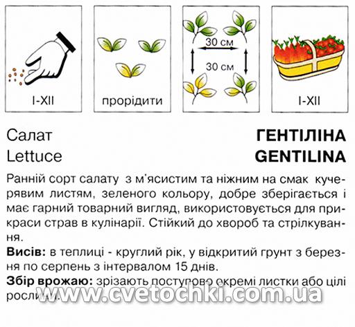 Салат «Гентіліна» (5 г), ТМ «Коуел»