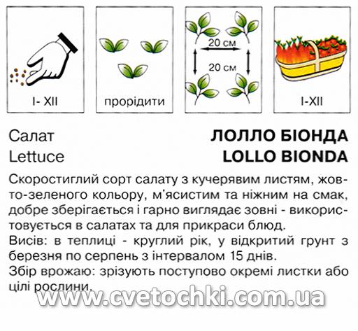 Салат «Лолло Біонда» (1 г), ТМ «Коуел»