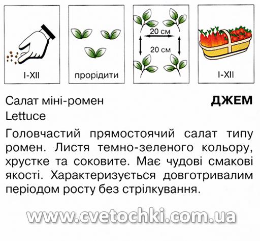 Салат міні-ромен «Джем» (1 г), ТМ «Коуел»
