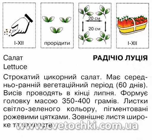 Салат «Радічіо Луція» (1 г), ТМ «Коуел»