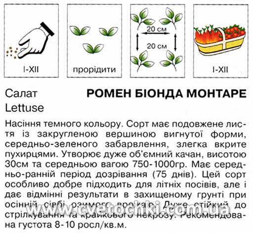 Салат ромен «Біонда Монтаре» (1 г), ТМ «Коуел»