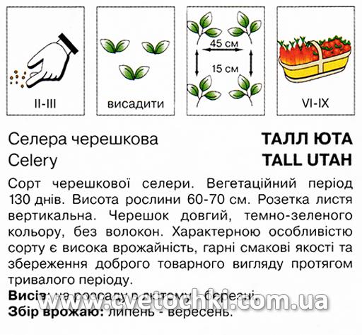 Селера черешкова «Талл Юта» (2 г), ТМ «Коуел»