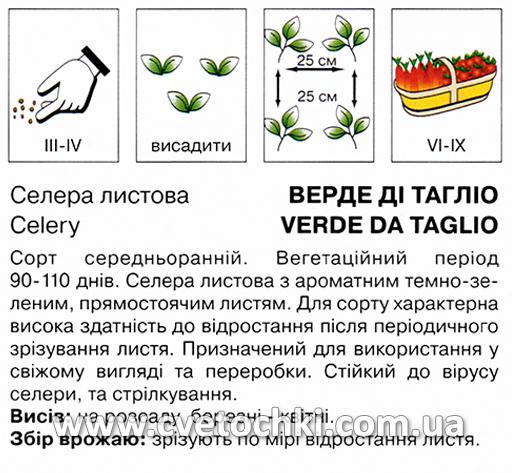 Селера листова «Верде ді Тагліо» (2 г), ТМ «Коуел»