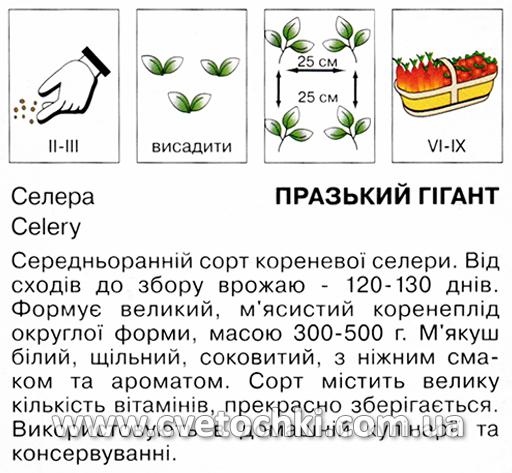 Селера «Празький гігант» (1 г), ТМ «Коуел»