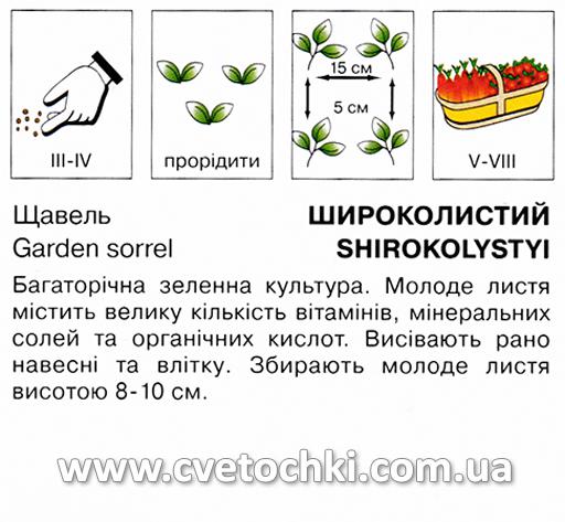 Щавель широколистий (2 г), ТМ «Коуел»