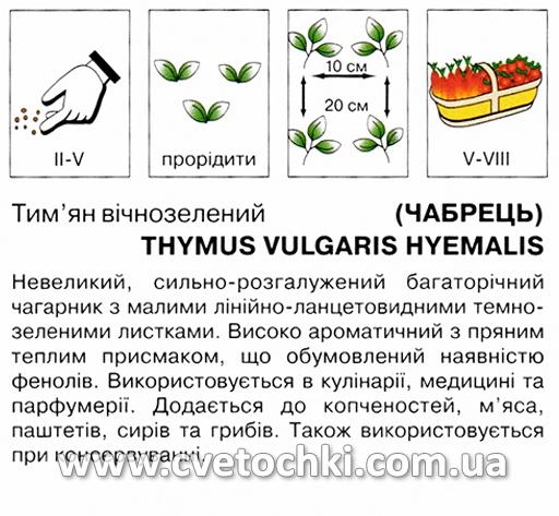 Тим'ян вічнозелений/чабрець (0,1 г), ТМ «Коуел»