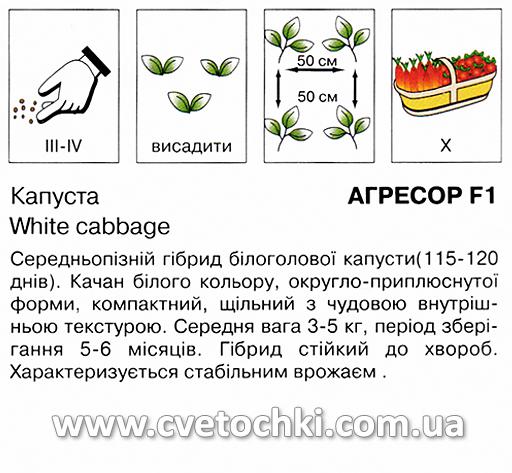 Капуста білоголова «Агресор F1» (20 шт.), ТМ «Коуел»