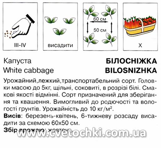 Капуста білоголова «Білосніжка» (0,5 г), ТМ «Коуел»