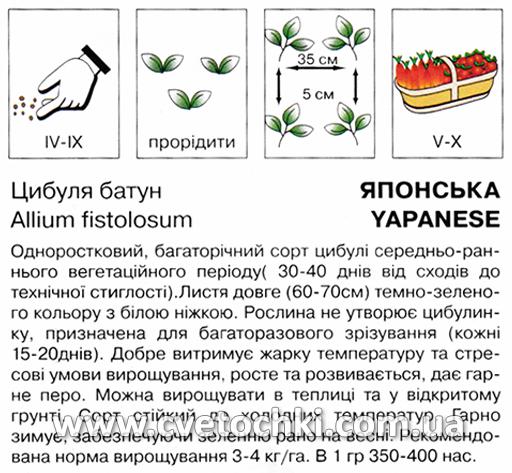 Цибуля-батун «Японська» (2 г), ТМ «Коуел»