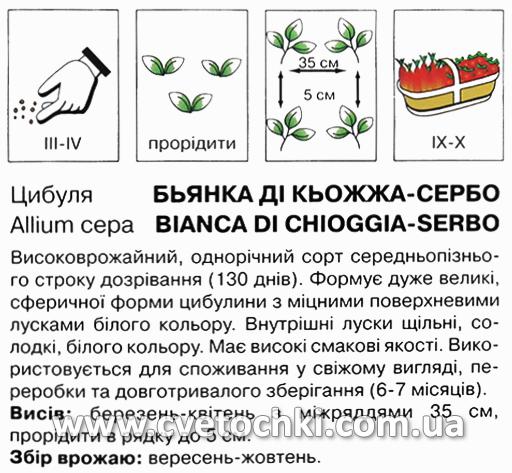 Цибуля «Б'янка ді Кьожжа-Сербо» (2 г), ТМ «Коуел»