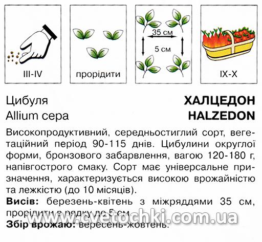 Цибуля «Халцедон» (10 г), ТМ «Коуел»