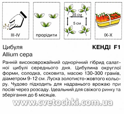 Цибуля «Кенді F1» (1 г), ТМ «Коуел»