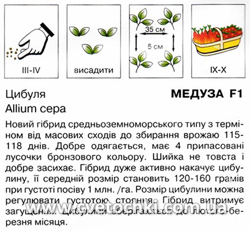 Цибуля «Медуза F1» (1 г), ТМ «Коуел»