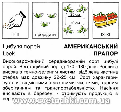 Цибуля-порей «Американський прапор» (2 г), ТМ «Коуел»