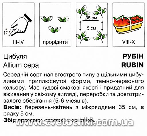 Цибуля «Рубін» (2 г), ТМ «Коуел»