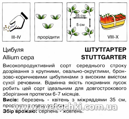 Цибуля «Штутгартер» (10 г), ТМ «Коуел»