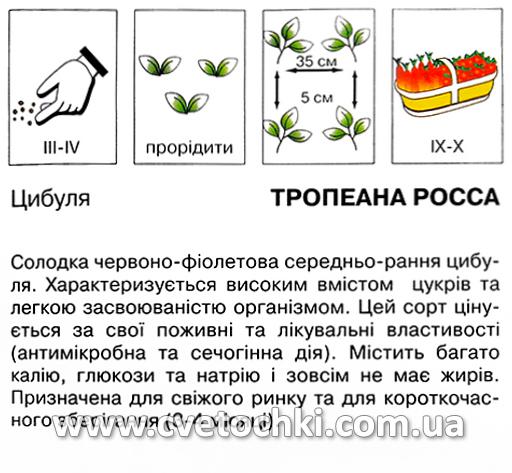 Цибуля «Тропеана росса» (2 г), ТМ «Коуел»