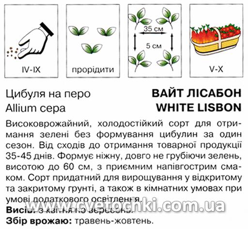 Цибуля «Вайт Лісабон» (2 г), ТМ «Коуел»