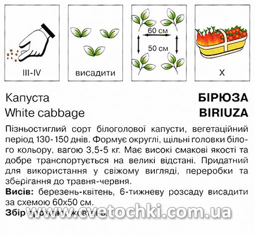 Капуста білоголова «Бірюза» (0,5 г), ТМ «Коуел»