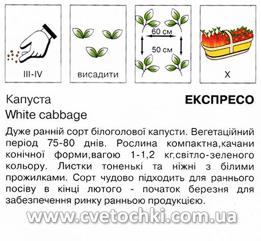Капуста білоголова «Експрес» (0,5 г), ТМ «Коуел»