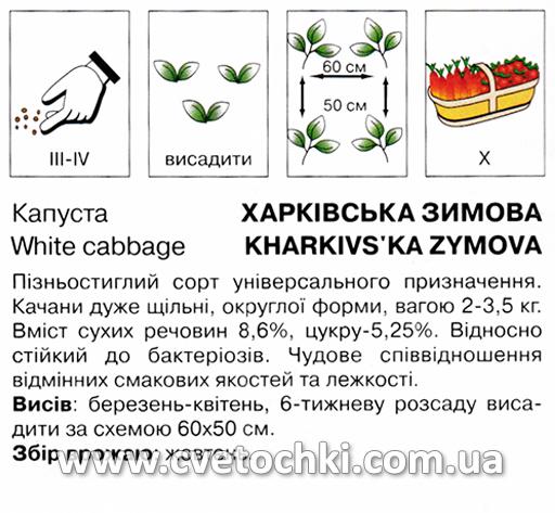 Капуста білоголова «Харківська зимова» (0,5 г), ТМ «Коуел»