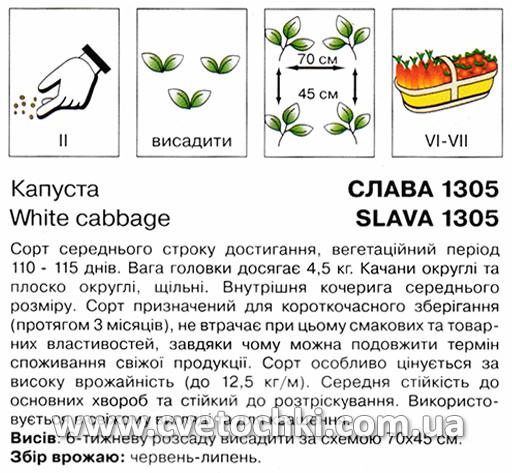 Капуста білоголова «Слава 1305» (0,5 г), ТМ «Коуел»