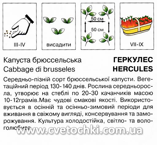 Капуста брюссельська «Геркулес» (0,5 г), ТМ «Коуел»
