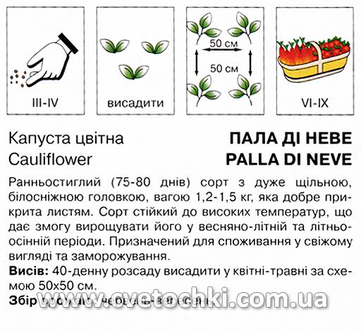 Капуста цвітна «Палла ді Неве» (0,5 г), ТМ «Коуел»