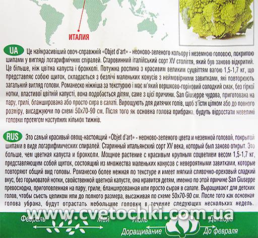 Капуста цвітна романеско «Святий Джузеппе» (100 шт.), ТМ «Солнечный март»