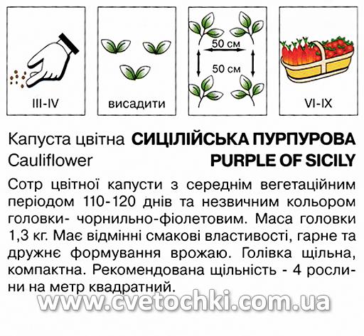 Капуста цвітна «Сицилійська пурпурова» (0,5 г), ТМ «Коуел»