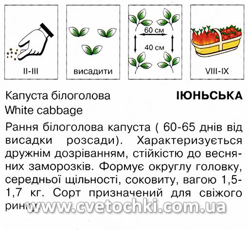 Капуста «Іюньська» (0,5 г), ТМ «Коуел»