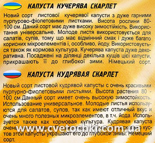 Капуста кучерява «Скарлет» (30 шт.), ТМ «Геліос»