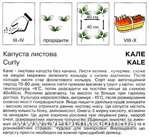 Капуста листова «Кале» (0,5 г), ТМ «Коуел»