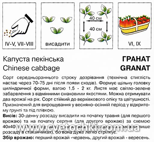 Капуста пекінська «Гранат» (0,5 г), ТМ «Коуел»