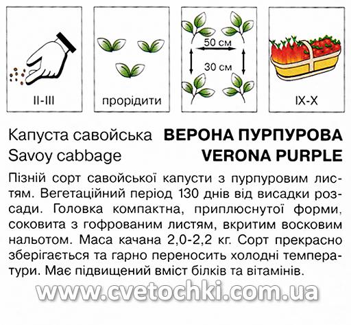 Капуста савойська «Верона пурпурова» (0,5 г), ТМ «Коуел»