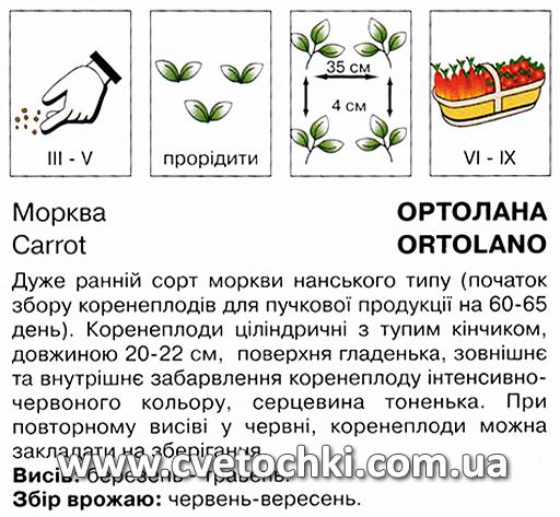 Морква «Ортолана» (10 г), ТМ «Коуел»