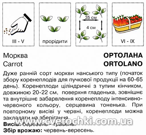 Морква «Ортолана» (3 г), ТМ «Коуел»