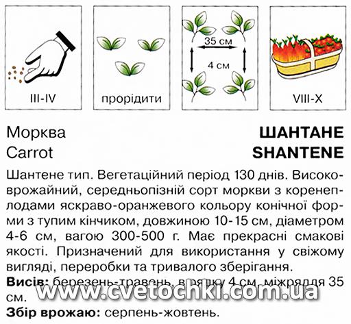 Морква «Шантене» (10 г), ТМ «Коуел»