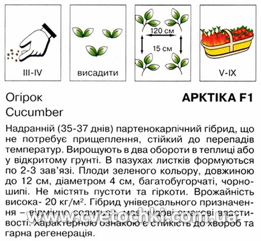 Огірок «Арктика F1» (10 шт.), ТМ «Коуел»