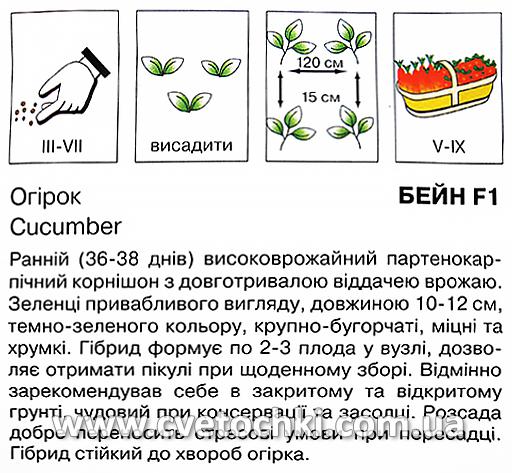 Огірок «Бейн F1» (10 шт.), ТМ «Коуел»