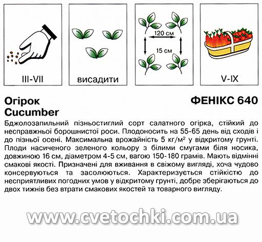 Огірок «Фенікс 640» (1 г), ТМ «Коуел»