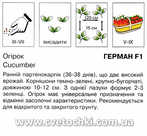 Огірок «Герман F1» (10 шт.), ТМ «Коуел»