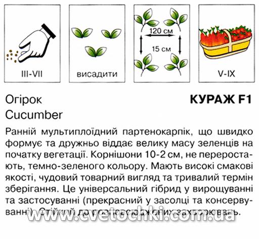 Огірок «Кураж F1» (10 шт.), ТМ «Коуел»