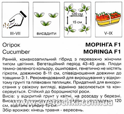 Огірок «Морінга F1» (20 шт.), ТМ «Коуел»