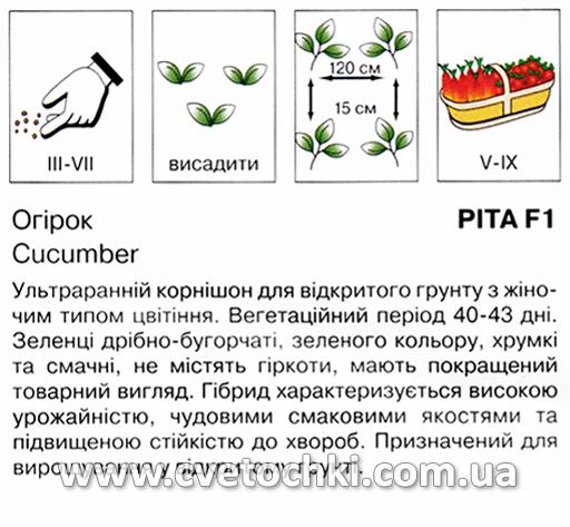 Огірок «Ріта F1» (20 шт.), ТМ «Коуел»