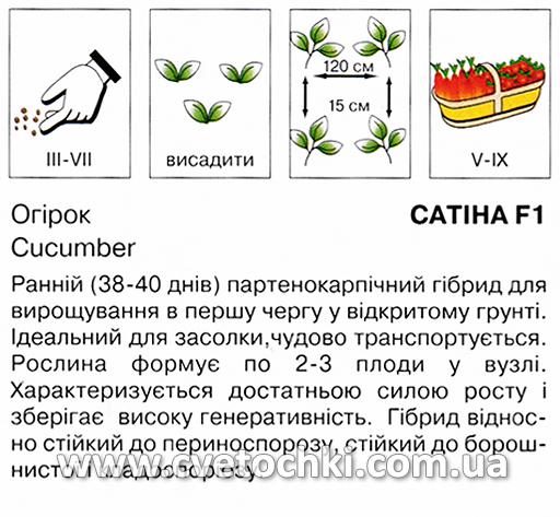 Огірок «Сатіна F1» (10 шт.), ТМ «Коуел»