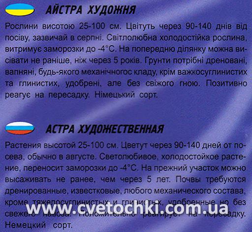 Айстра художня (100 шт.), ТМ «Геліос»