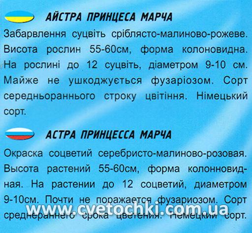 Айстра «Принцеса Марча» (100 шт.), ТМ «Геліос»