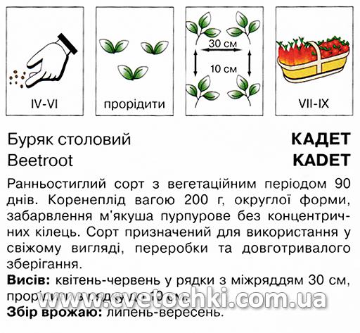 Буряк «Кадет» (3 г), ТМ «Коуел»